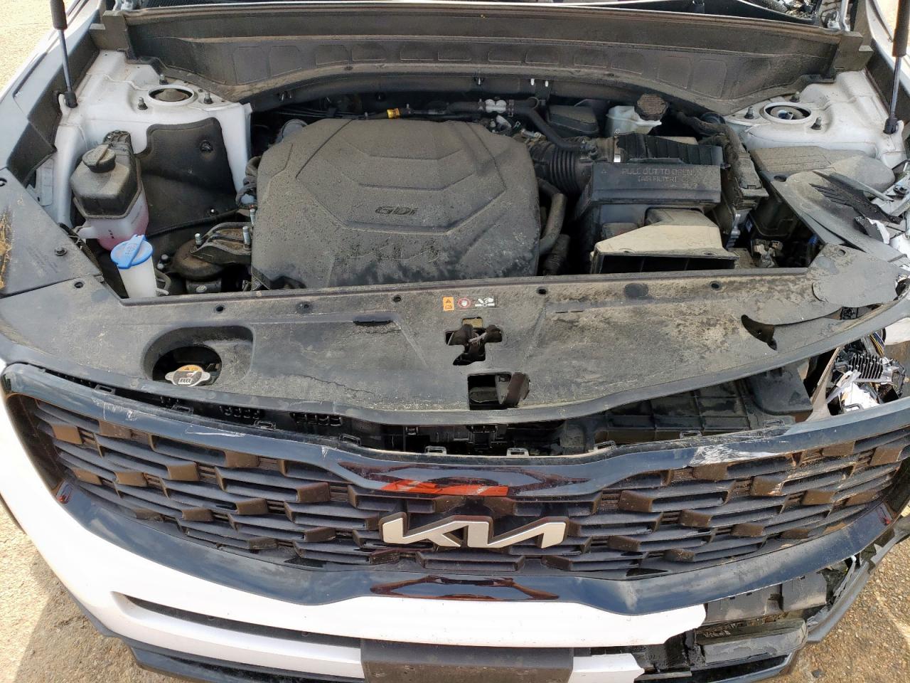 2022 Kia Telluride Ex VIN: 5XYP3DHC1NG318982 Lot: 59152325