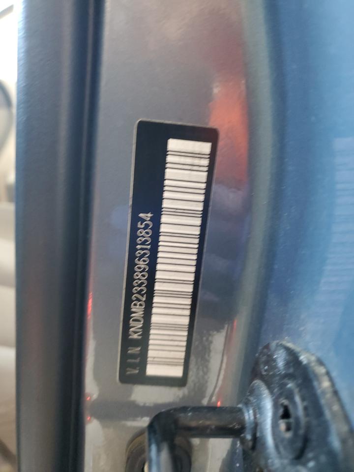 2009 Kia Sedona Ex VIN: KNDMB233896313854 Lot: 58837785