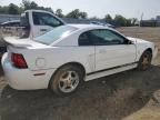 2003 Ford Mustang    на продаже в Windsor, NJ - Front End