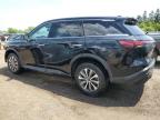 2024 INFINITI QX60 PURE   for sale at Copart ON - TORONTO