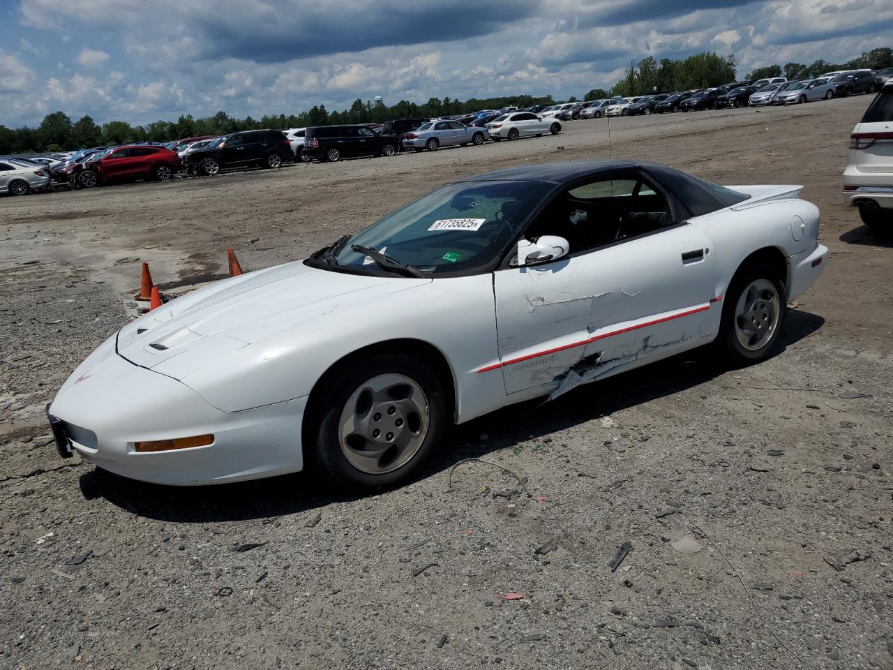1994 Pontiac Firebird للبيع في Fredericksburg، VA - Side