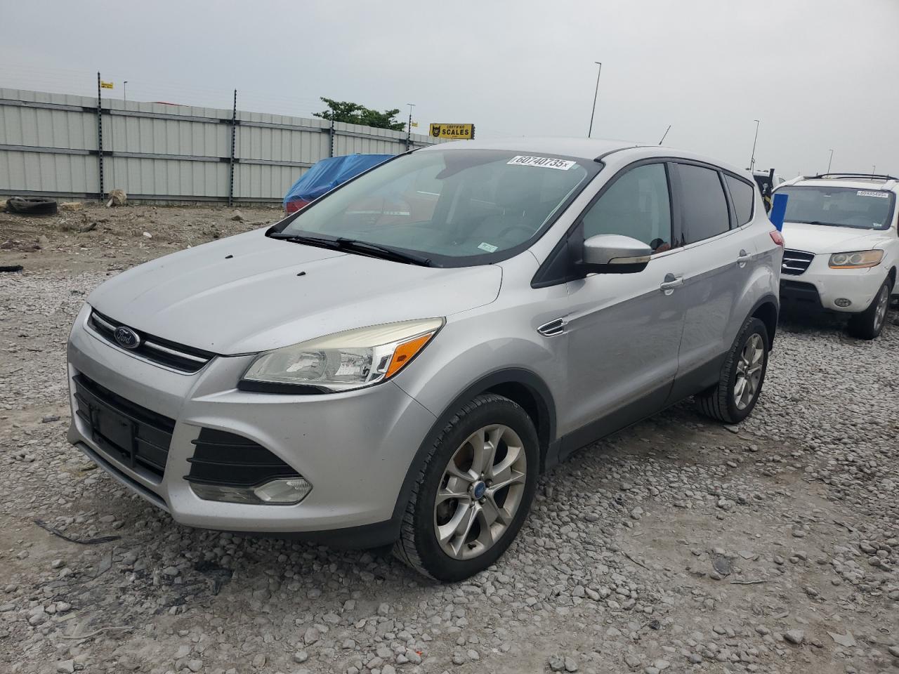 2013 Ford Escape Sel zu verkaufen in Cahokia Heights, IL - Hail