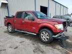 Apopka, FL에서 판매 중인 2013 Ford F150 Supercrew   - Front End