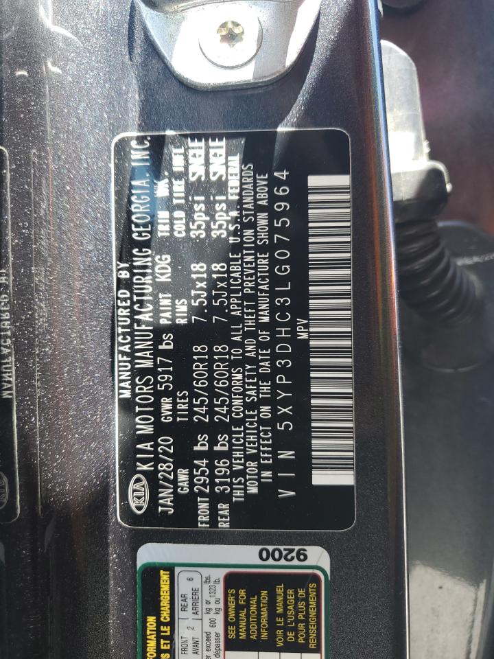 2020 Kia Telluride Ex VIN: 5XYP3DHC3LG075964 Lot: 61650525