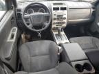 2008 Ford Escape Xlt en Venta en York Haven, PA - Minor Dent/Scratches