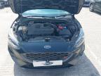 2019 FORD FOCUS ST for sale at Copart CHESTER