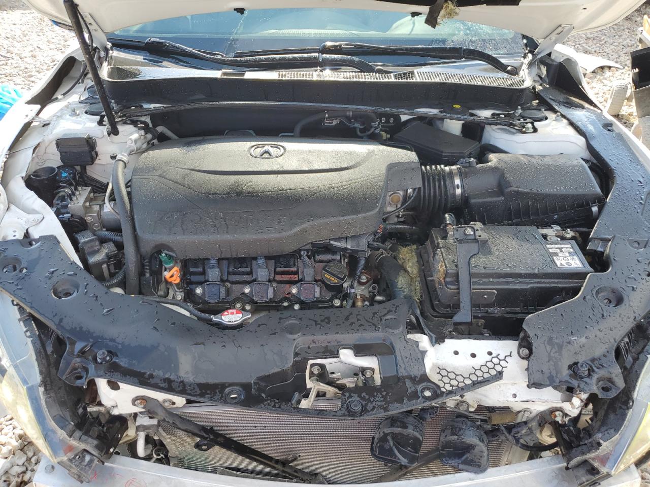 19uub3f54fa006582 19UUB3F54FA006582 2015 Acura Tlx Tech