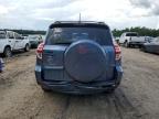 2010 Toyota Rav4 Limited na sprzedaż w Midway, FL - Minor Dent/Scratches