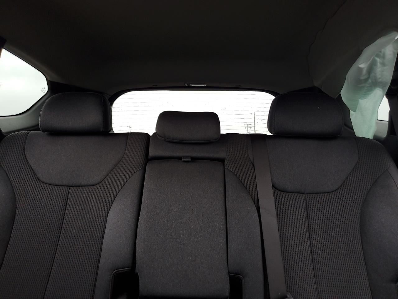 2020 Hyundai Santa Fe Sel VIN: 5NMS3CAD2LH188009 Lot: 62842885