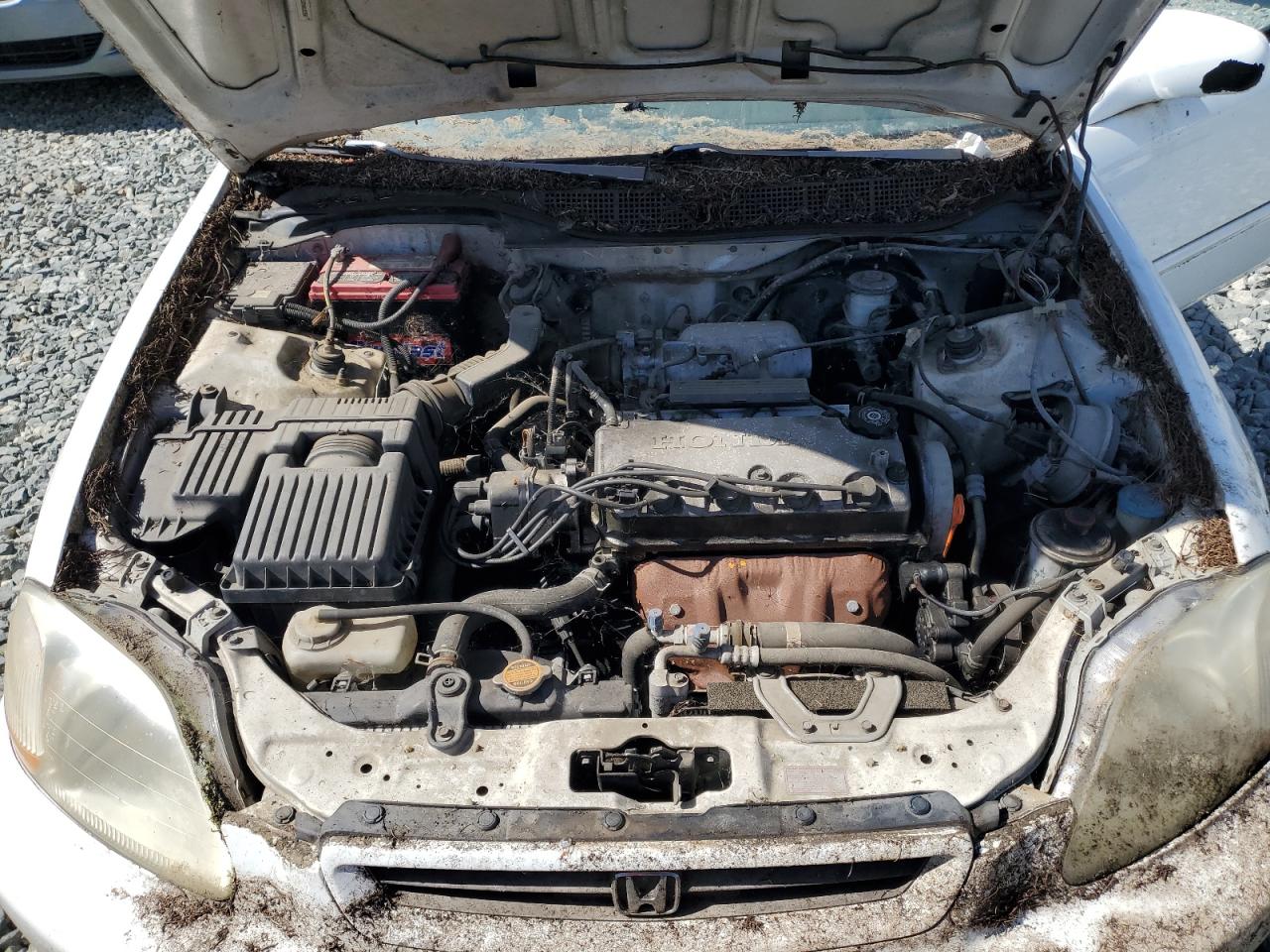1998 Honda Civic Ex VIN: 1HGEJ8249WL013503 Lot: 61783375