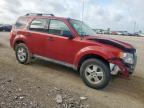 2010 Ford Escape Xlt for Sale in Temple, TX - Front End