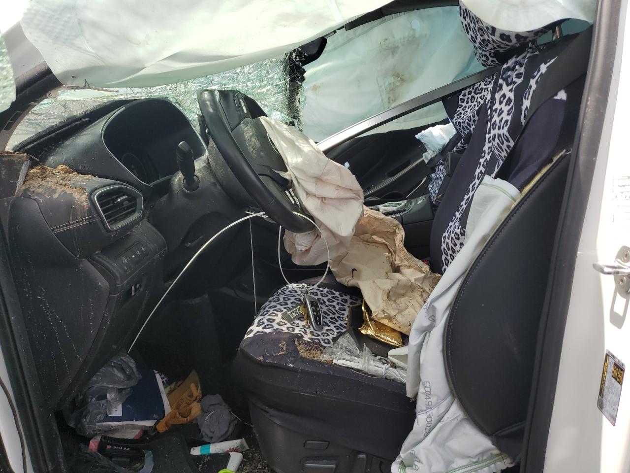 2023 Hyundai Santa Fe Limited VIN: 5NMS4DAL1PH531179 Lot: 58779545