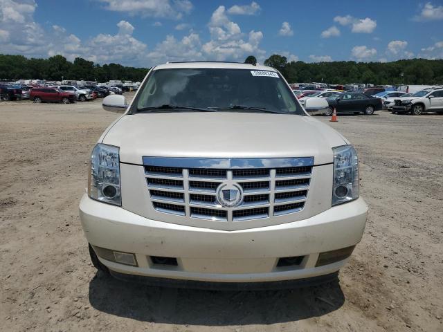 2009 CADILLAC ESCALADE LUXURY  