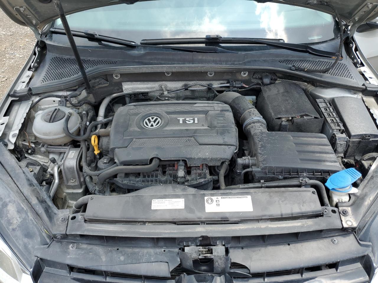 2017 Volkswagen Golf Sportwagen S VIN: 3VWC17AU1HM539561 Lot: 61015985