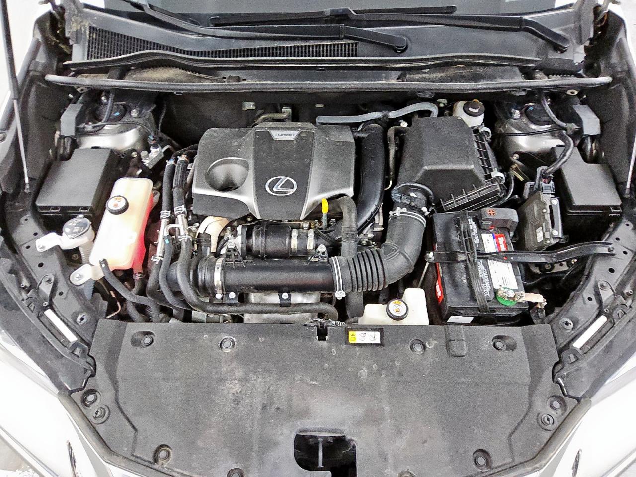 2020 Lexus Nx 300 VIN: JTJDARBZ2L5010810 Lot: 59139885