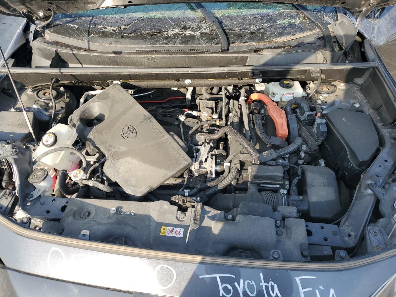 2020 Toyota Rav4 Xle VIN: JTMRWRFV1LD057270 Lot: 61754695