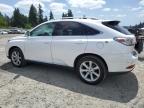Graham, WA에서 판매 중인 2010 Lexus Rx 350 - Front End