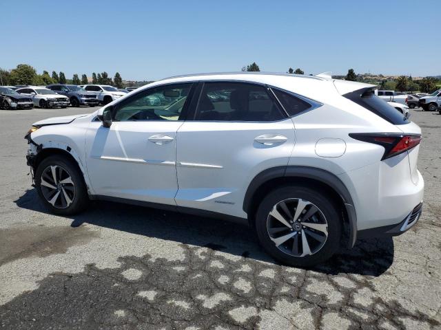  LEXUS NX 2021 Biały