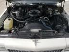 1988 Chevrolet Caprice Classic for Sale in West Palm Beach, FL - Rear End
