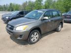 2009 TOYOTA RAV4    à vendre chez Copart ON - COOKSTOWN