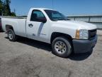 2013 Chevrolet Silverado C1500   en Venta en Dunn, NC - Minor Dent/Scratches