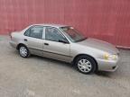 2002 TOYOTA COROLLA CE   à vendre chez Copart ON - LONDON