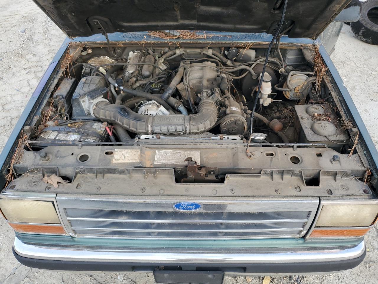 1991 Ford Explorer VIN: 1FMDU34X4MUD75057 Lot: 62219715