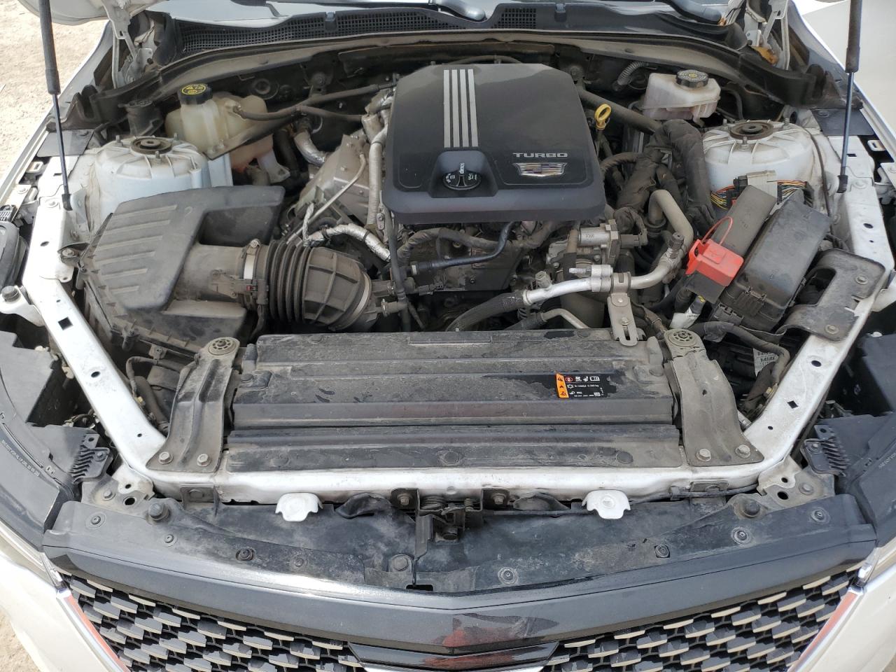 2020 Cadillac Ct4 Luxury VIN: 1G6DE5RK7L0149484 Lot: 60031115