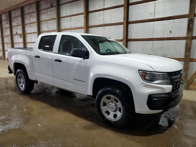  CHEVROLET COLORADO 2022 White