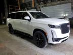 2023 Cadillac Escalade Esv Sport   للبيع في Albany، NY - Side
