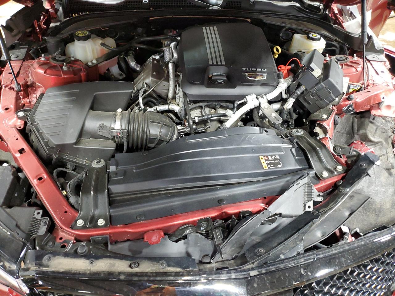 2021 Cadillac Ct4 Sport VIN: 1G6DG5RK1M0128576 Lot: 61810305