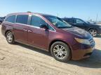 2012 Honda Odyssey Exl   de vânzare în Temple, TX - Front End