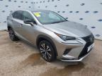 2020 LEXUS NX 300H CV for sale at Copart SANDY