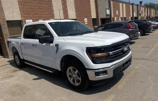 2024 Ford F150 Xlt