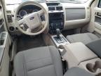 2010 Ford Escape Xlt   for Sale in Apopka, FL - Front End