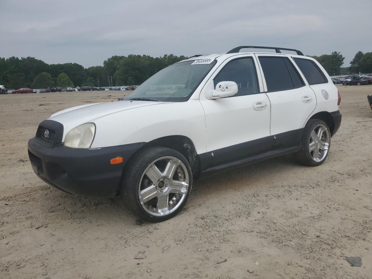 2003 Hyundai Santa Fe Gls на продаже в Conway, AR - Side