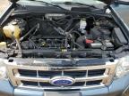 2011 Ford Escape Xlt   للبيع في Baltimore، MD - Rear End