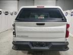 2023 Chevrolet Silverado C1500 zu verkaufen in Ham Lake, MN - All Over