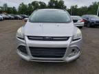 2013 FORD ESCAPE SE   for sale at Copart CT - HARTFORD SPRINGFIELD