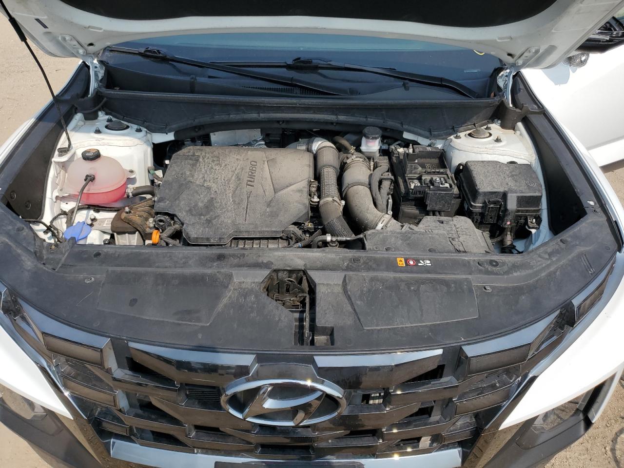 2023 Hyundai Santa Cruz Limited VIN: 5NTJEDAF0PH048967 Lot: 60516515
