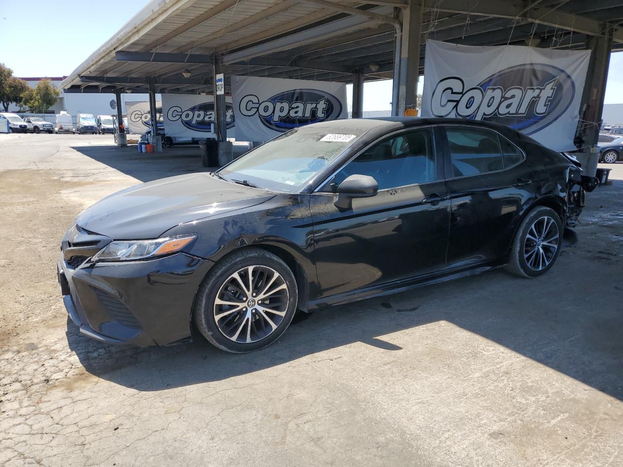 TOYOTA CAMRY 2019 VIN 4T1B11HK7KU265734