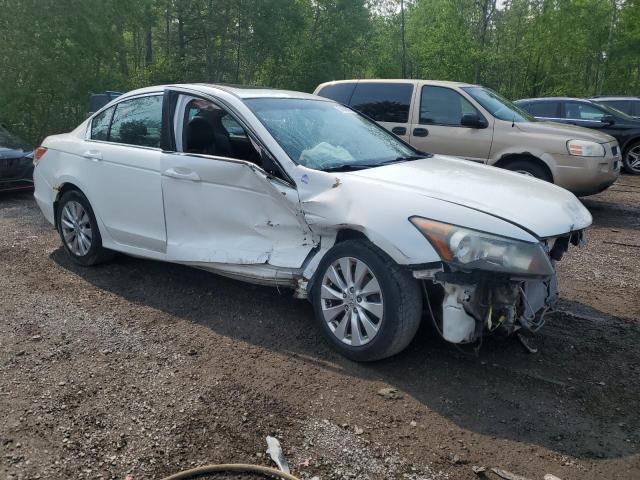 2010 HONDA ACCORD EXL