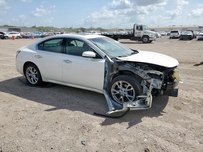 Sedans NISSAN MAXIMA 2014 White