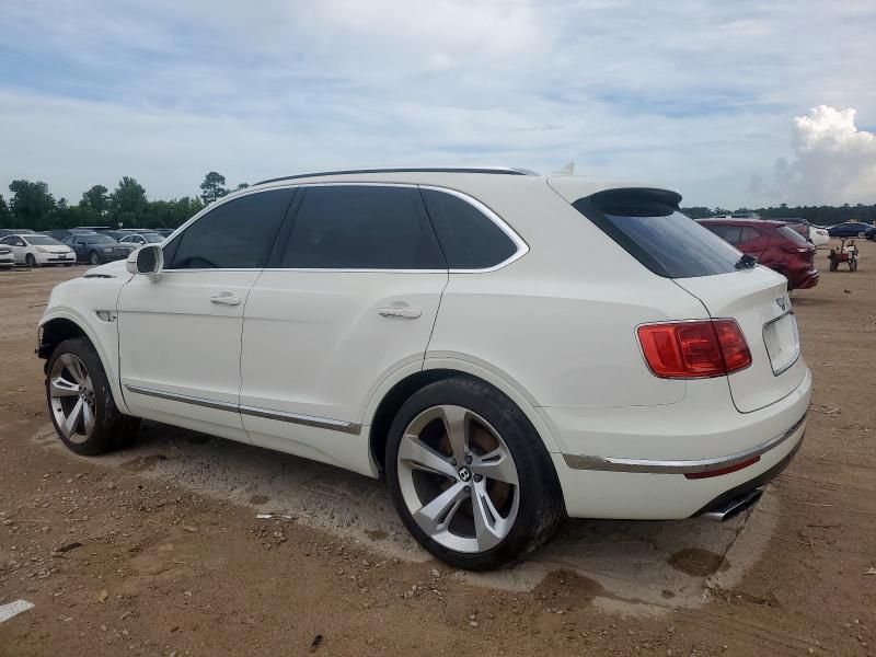  BENTLEY ALL MODELS 2019 White