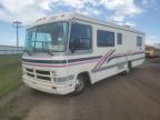 1994 Chevrolet P30  for Sale in Brighton, CO - Side