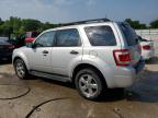 2009 Ford Escape Xlt de vânzare în Louisville, KY - Hail