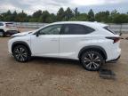 2019 Lexus Nx 300 Base for Sale in Elgin, IL - Front End