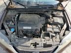 2013 Honda Accord Exl იყიდება Lebanon-ში, TN - Hail