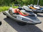 2019 SEADOO RXPX 300   à vendre chez Copart ON - COOKSTOWN