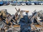 Lawrenceburg, KY에서 판매 중인 2016 Ford F150 Super Cab - Burn